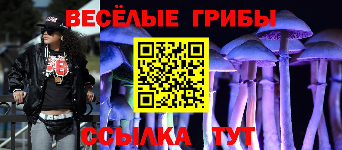Псилоцибиновые грибы Magic Shrooms  Вход с VPN  Грязи 